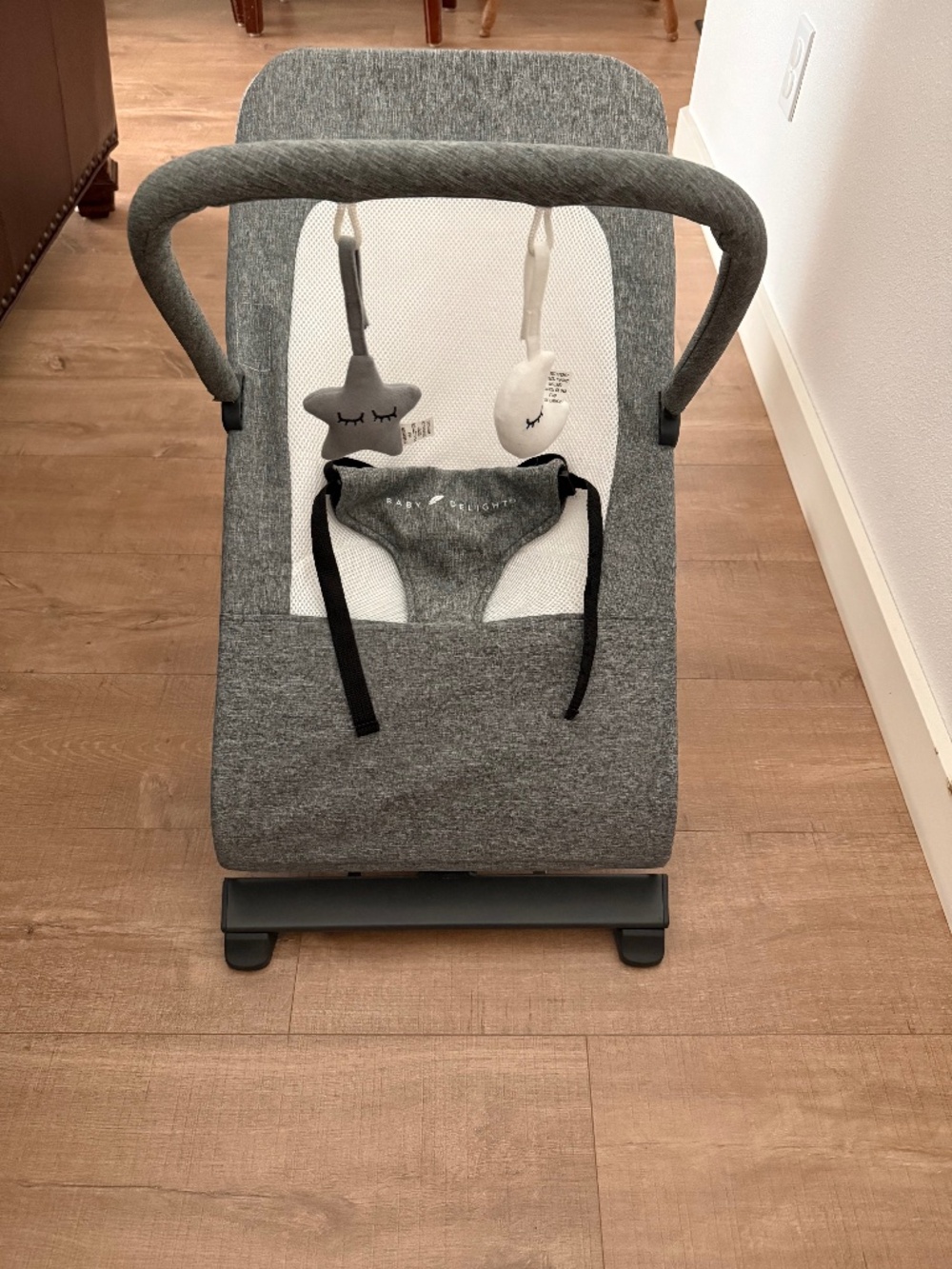 Baby Delight bouncer